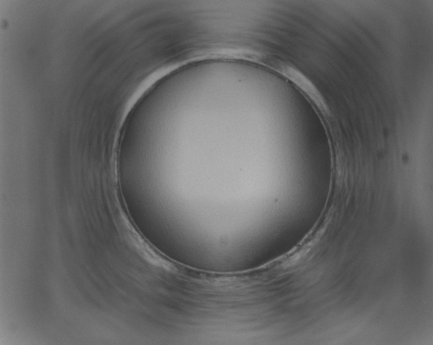 X0000067831436200604271543