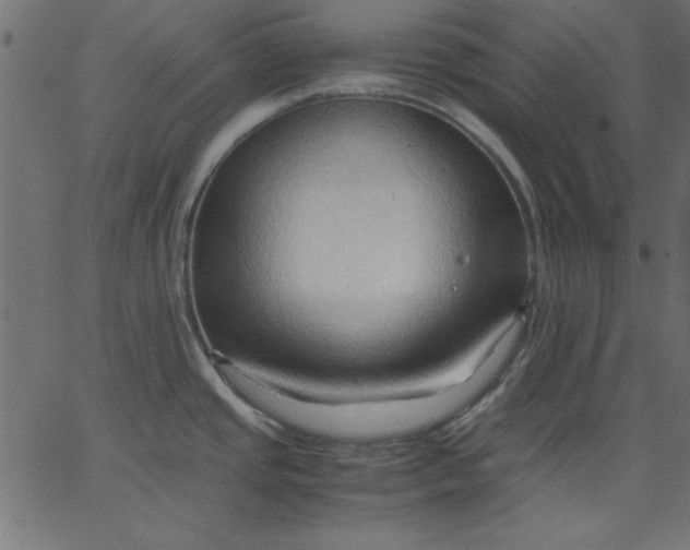 X0000067831437200604271543