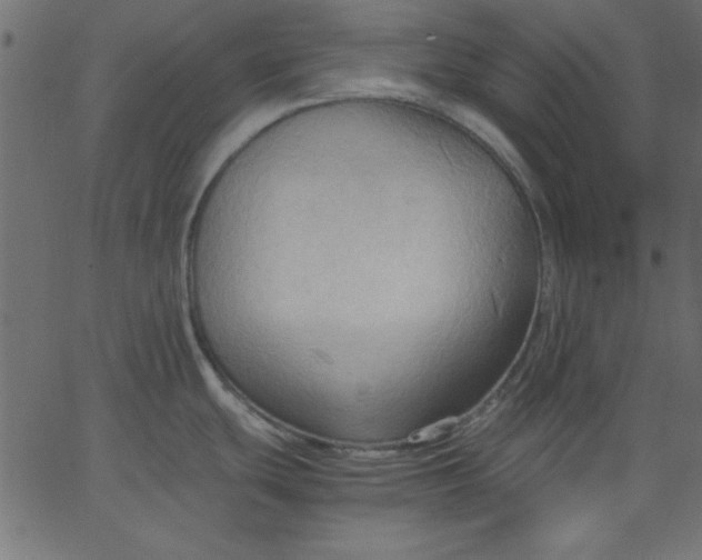 X0000067831439200604271543