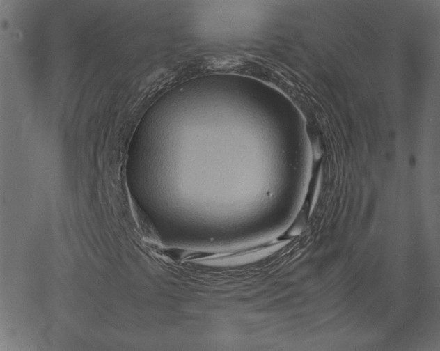 X0000067831441200604271542