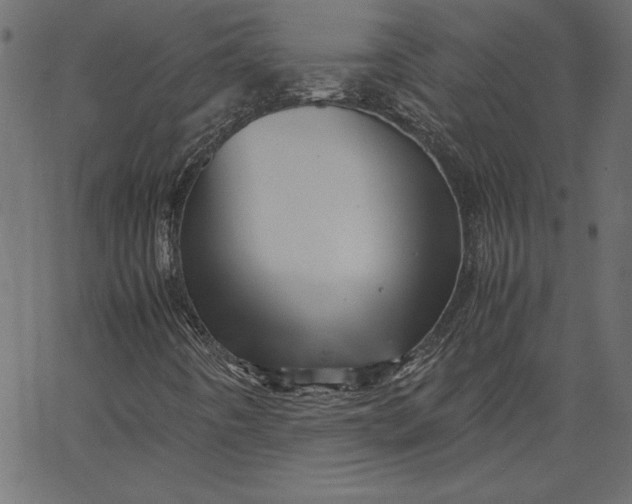 X0000067831442200604271542