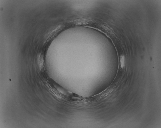 X0000067831444200604271542