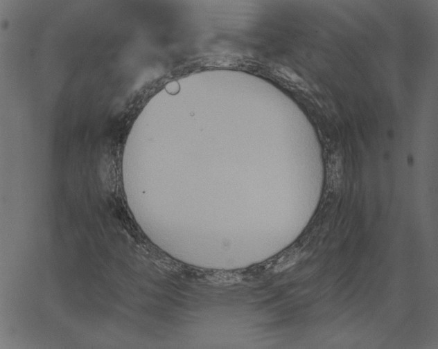 X0000067831446200604271542