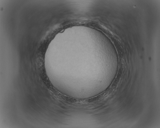 X0000067831447200604271542