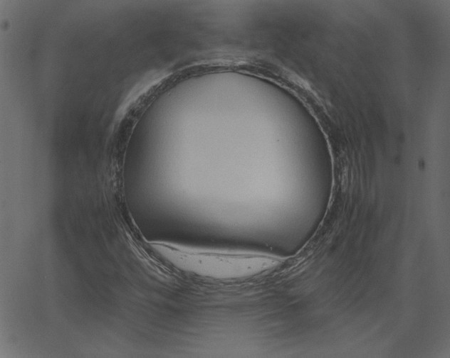 X0000067831448200604271542