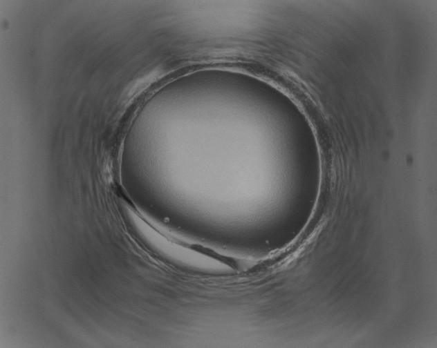 X0000067831449200604271542