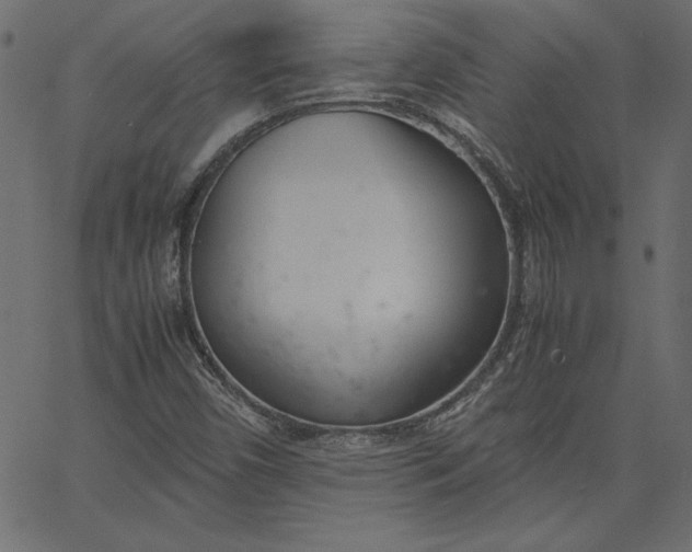 X0000067831450200604271542