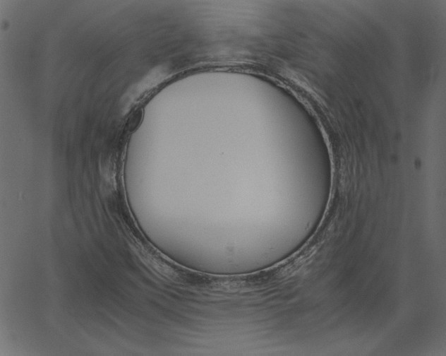 X0000067831451200604271542