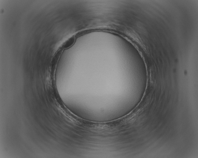 X0000067831452200604271542