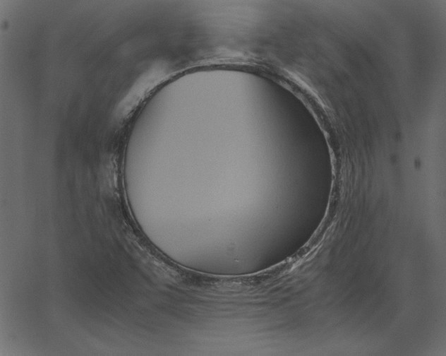 X0000067831455200604271542