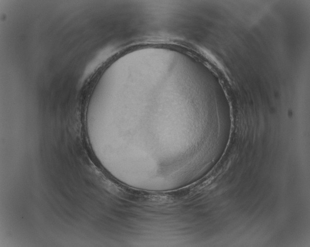 X0000067831456200604271542