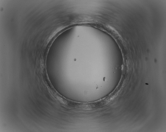 X0000067831457200604271542