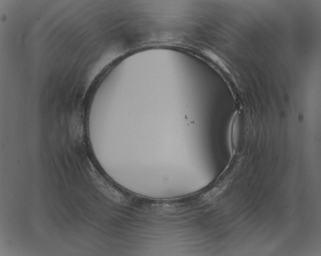 X0000067831458200604271542