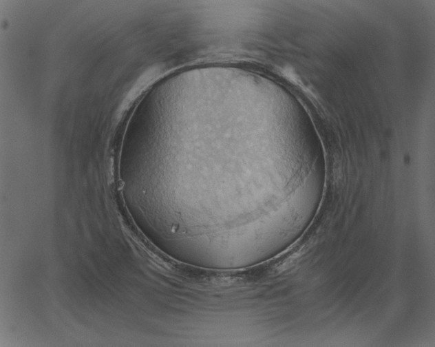 X0000067831459200604271542