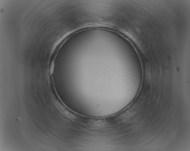 X0000067831460200604271542