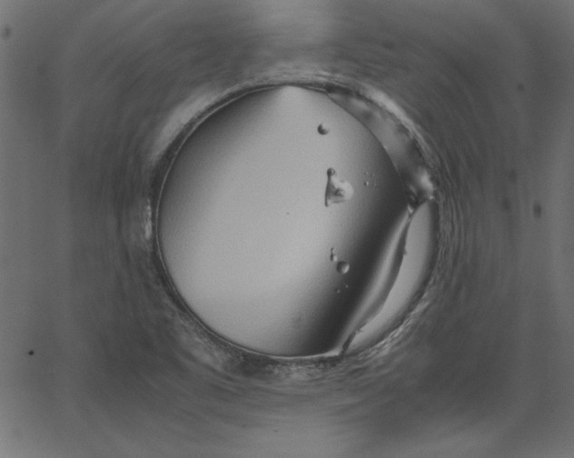 X0000067831461200604271542