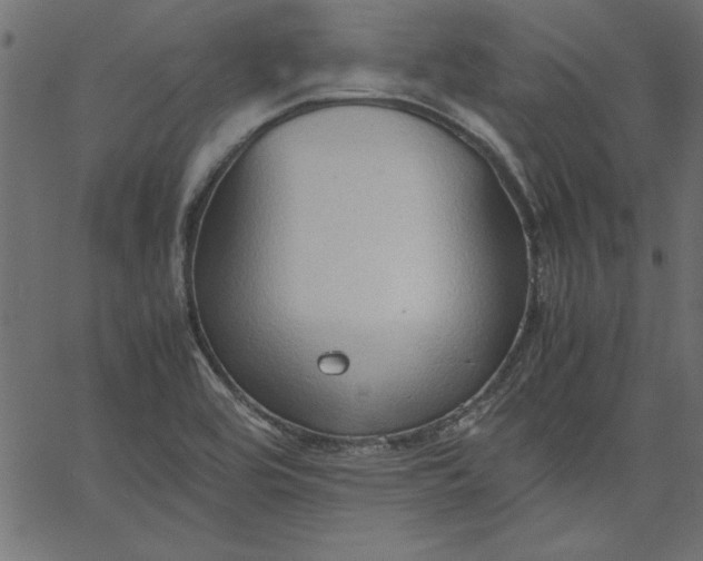 X0000067831464200604271542