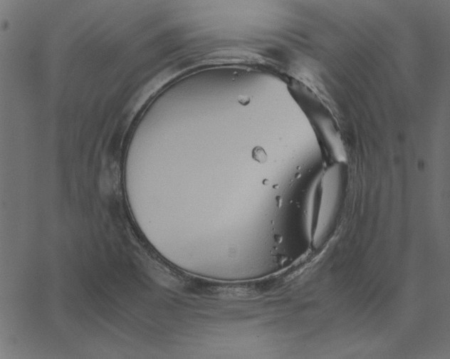 X0000067831465200604271542