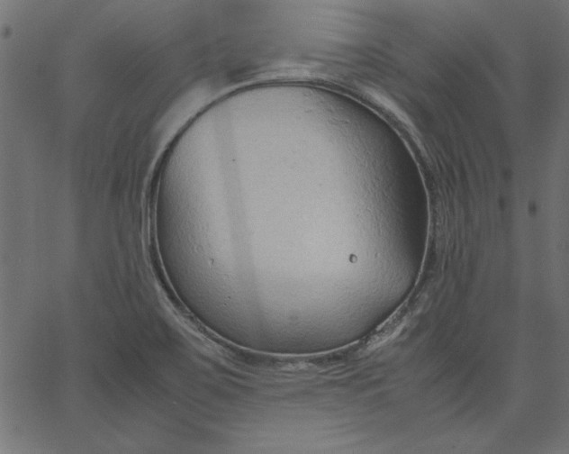 X0000067831467200604271542