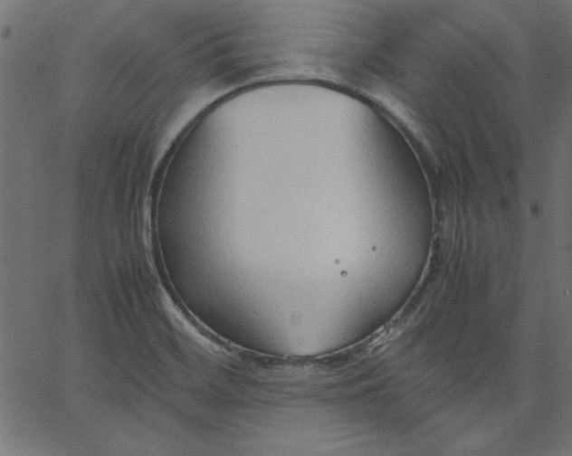 X0000067831468200604271542