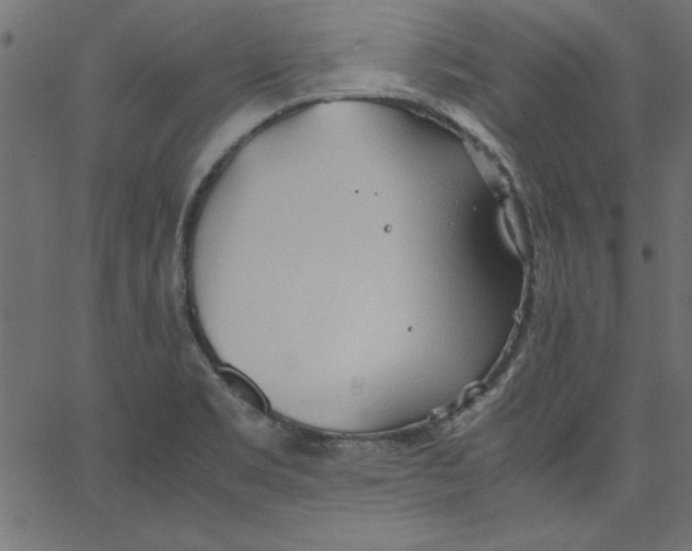 X0000067831469200604271542