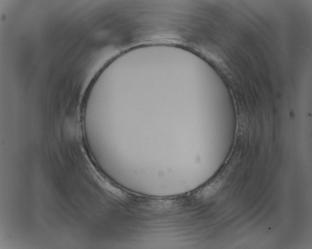 X0000067831470200604271542