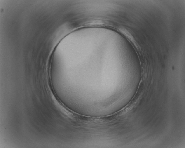 X0000067831475200604271542