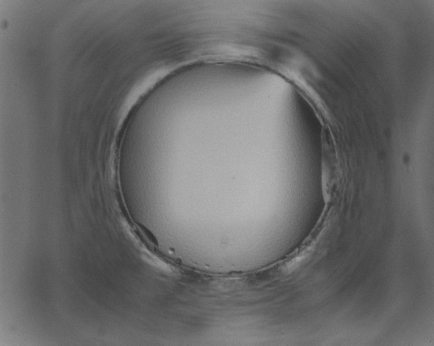 X0000067831477200604271542