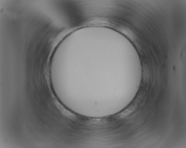 X0000067831478200604271542