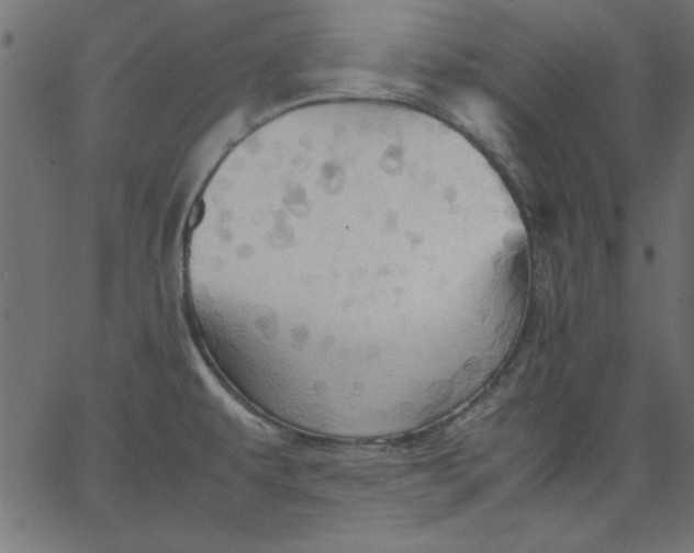 X0000067831479200604271542