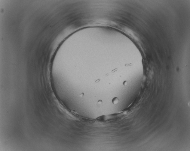 X0000067831480200604271541