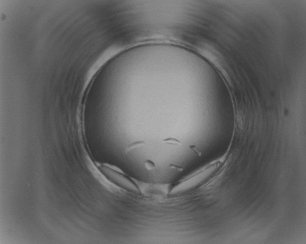 X0000067831482200604271541