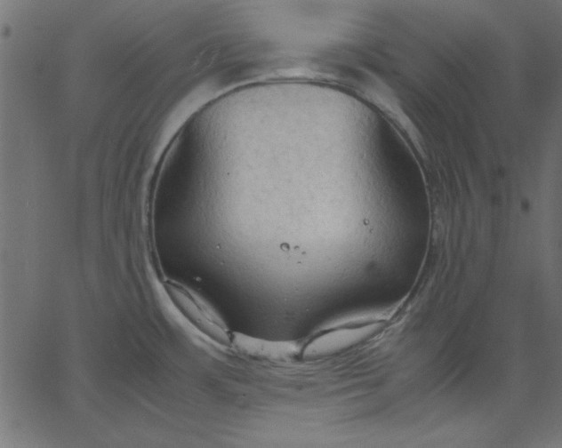 X0000067831483200604271541