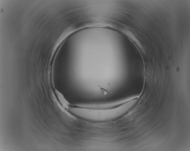 X0000067831484200604271541