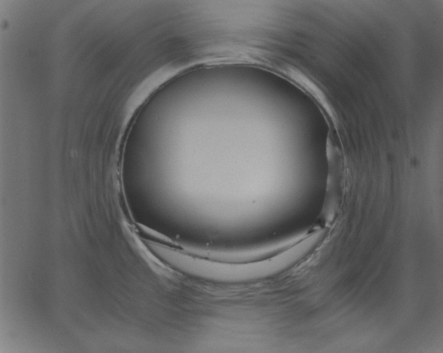 X0000067831485200604271541