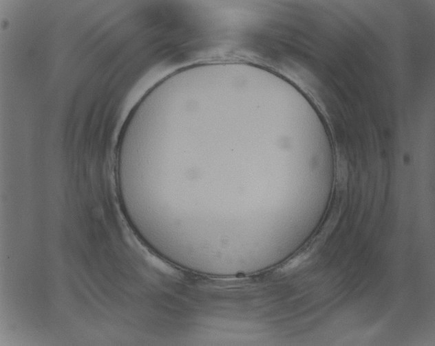 X0000067831486200604271541