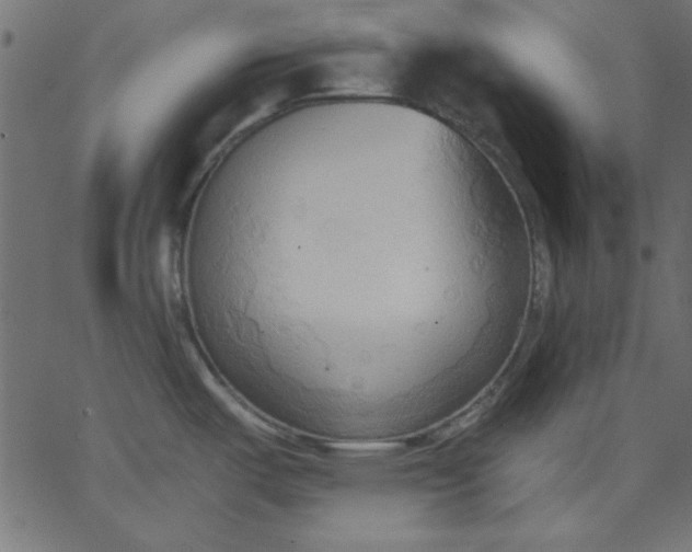 X0000067831487200604271541