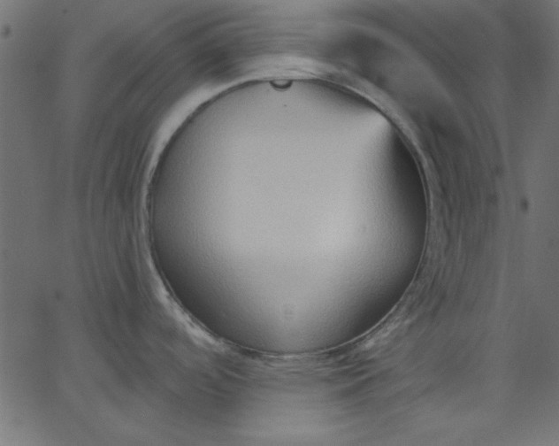 X0000067831488200604271541