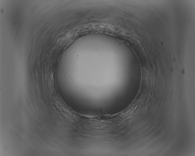 X0000067831489200604271541