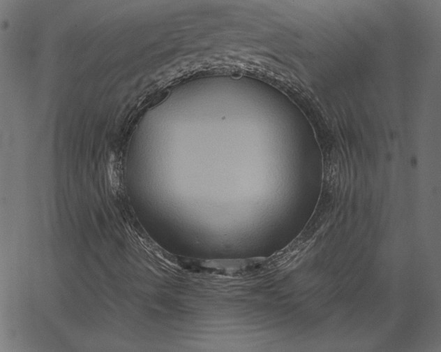 X0000067831490200604271541