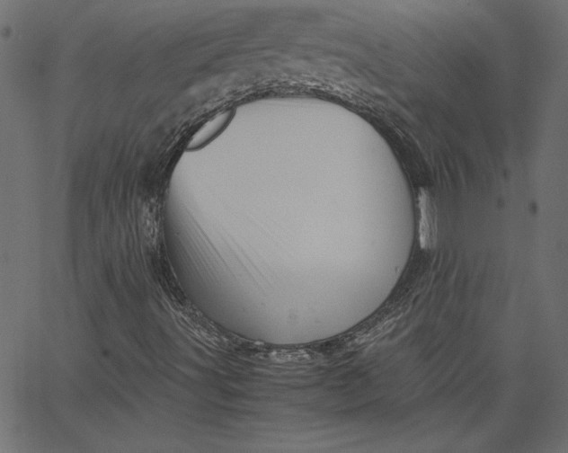 X0000067831491200604271541