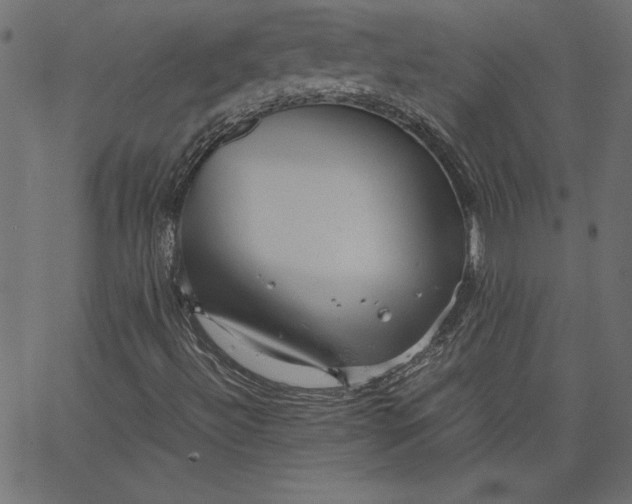 X0000067831492200604271541