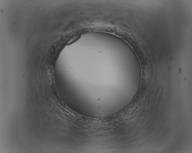 X0000067831493200604271541