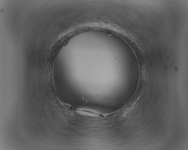 X0000067831494200604271541