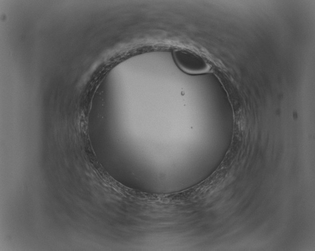 X0000067831495200604271541