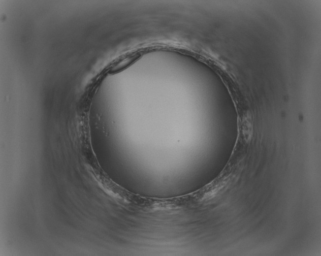 X0000067831496200604271541