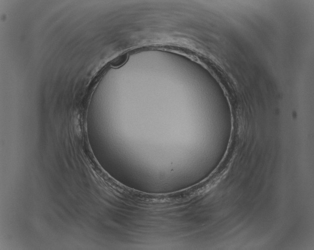 X0000067831497200604271541