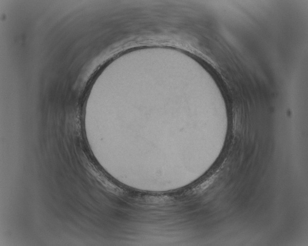 X0000067831498200604271541