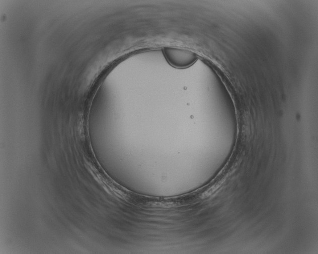 X0000067831499200604271541