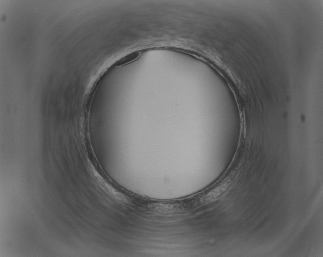 X0000067831500200604271541